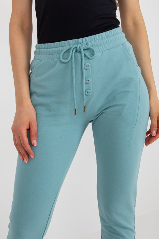 Tepláky-RV-DR-8694.37-mint