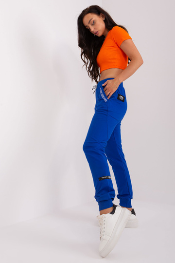 Tepláky-RV-DR-8545.02P-kobalt