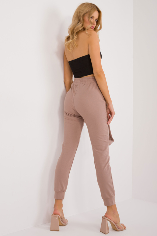 Tepláky-RV-DR-9629.82-tmavě béžové