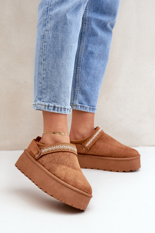 Sněhule  Haftem hnědáSelithria