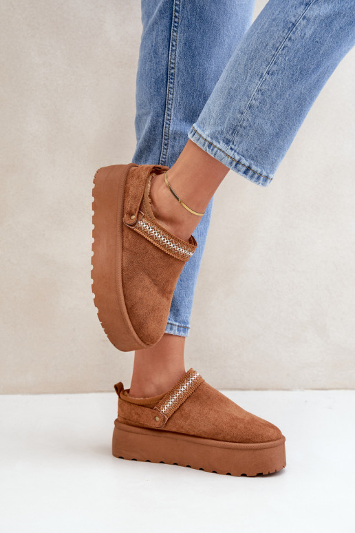 Sněhule  Haftem hnědáSelithria