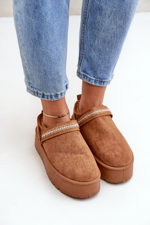 Sněhule  Haftem hnědáSelithria