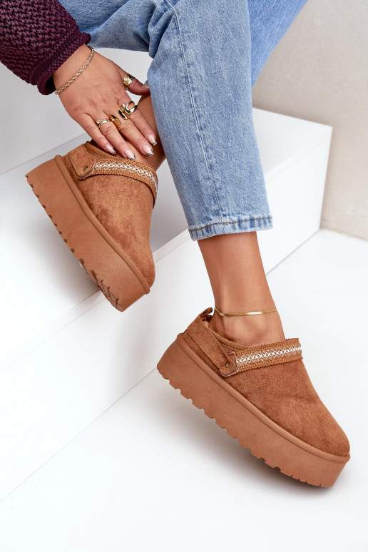 Sněhule  Haftem hnědáSelithria