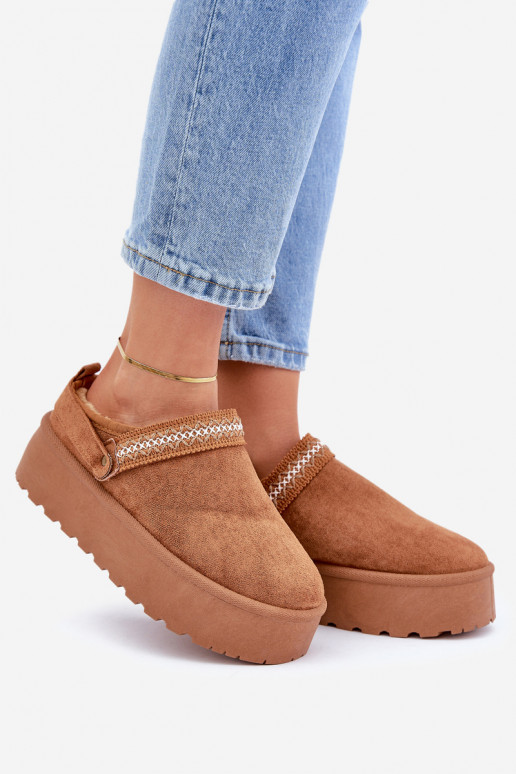 Sněhule  Haftem hnědáSelithria