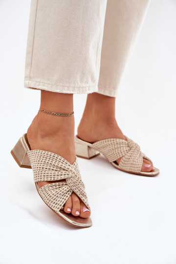 Dámské pantofle   06955-25 béžové-zlaté barvy