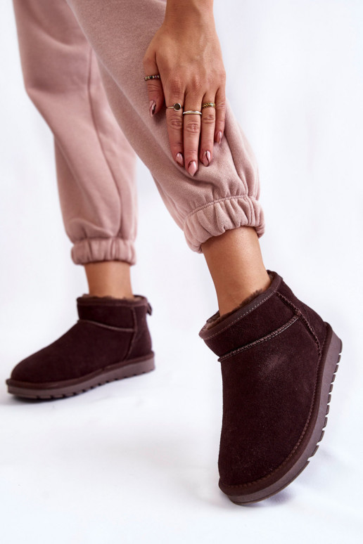  ze semiše  Sněhule hnědá Shelie