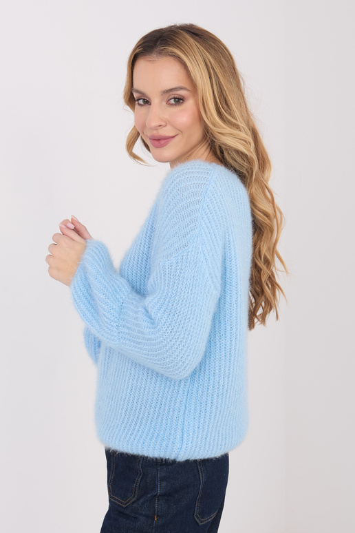 Svetřík světle modrý