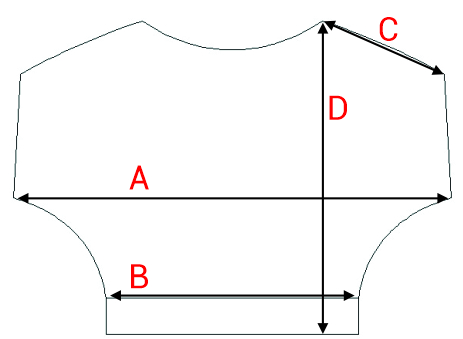 Dydžių schema